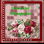 nevnap5