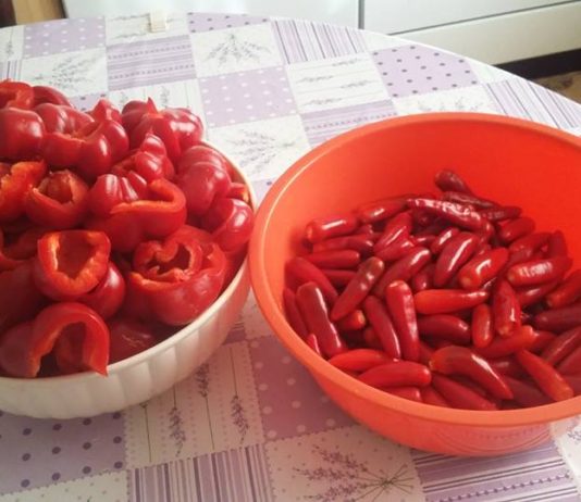 Én így csináltam most az erős Jóskát! 1000 forint az egész!