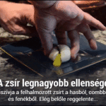 ffGwT56G