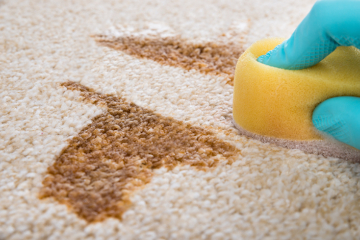 hogyan lehet eltávolítani a zsírfoltokat a szőnyegről gyors fogyás 6 hét alatt