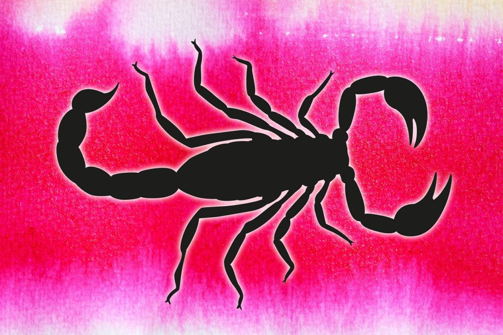 hogyan fogyhat le a skorpió