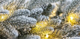 karácsonyfa világítás