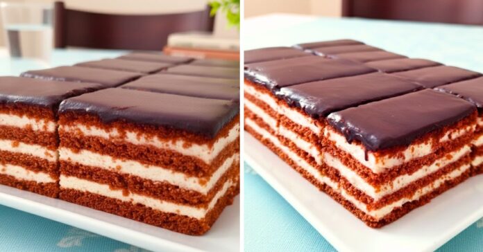 zafira-szelet-recept-valodi-hazi-fozott-kremme