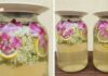 Rózsás bodza limonádé recept, nem szörp, már másnap fogyasztható