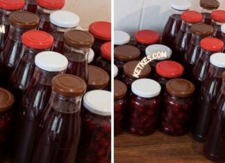 Egyszerű meggyszörp és meggybefőtt recept, tartósító nélkül