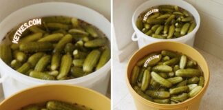 Hidegen eltett roppanós, vödrös uborka savanyúság recept