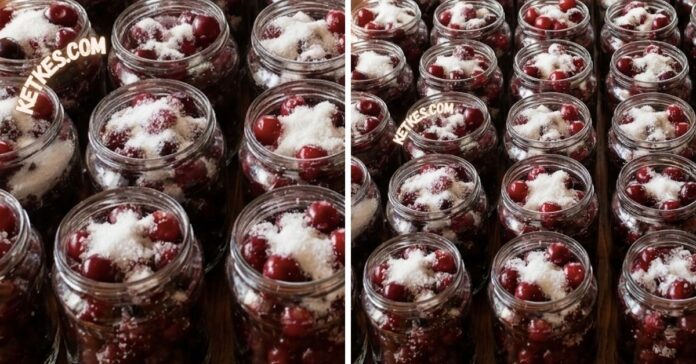 ropogos-cukros-meggy-recept-tartositoszer-nelkul-elteve-ahogy-a-mama-csinalta