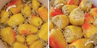Vödrös savanyúság, káposztával töltött paprika, hideg felöntőlével