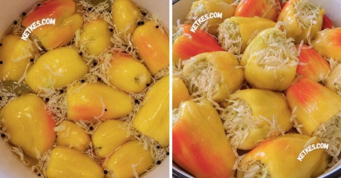 vodros-savanyusag-kaposztaval-toltott-paprika